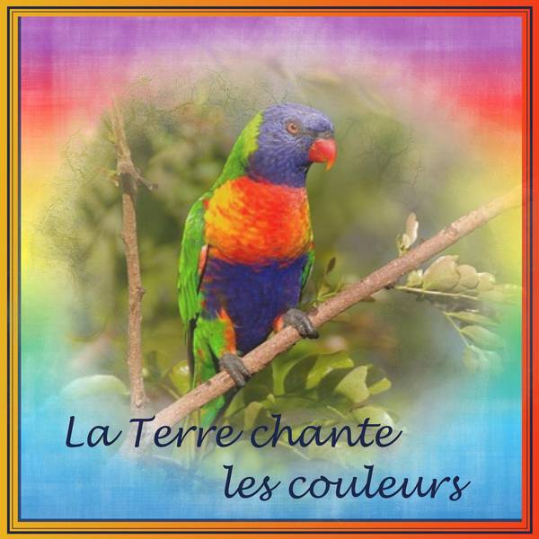 4-REALISATION - LA TERRE CHANTE LES COULEURS