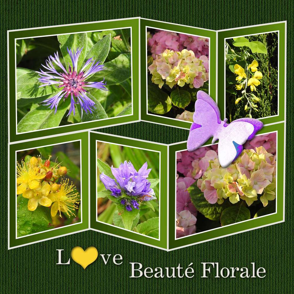 4-REALISATION - LOVE BEAUTE FLORALE