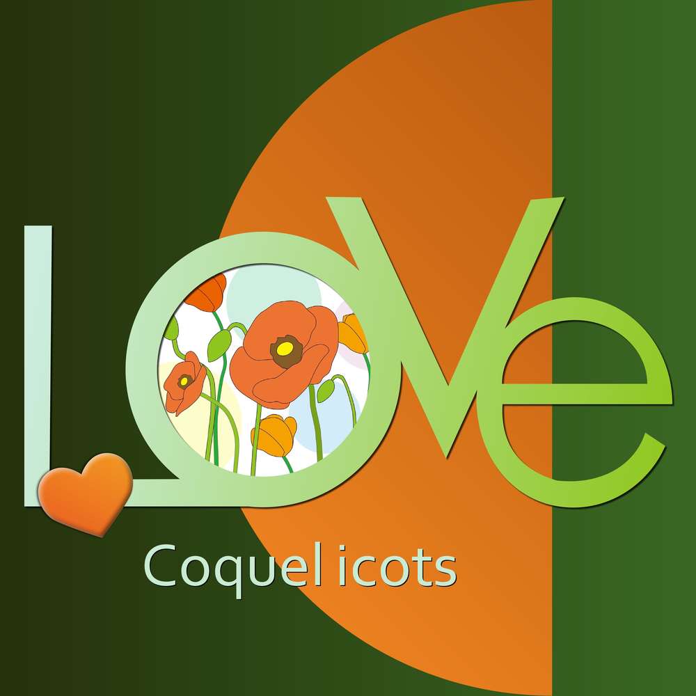 4-REALISATION - LOVE COQUELICOTS