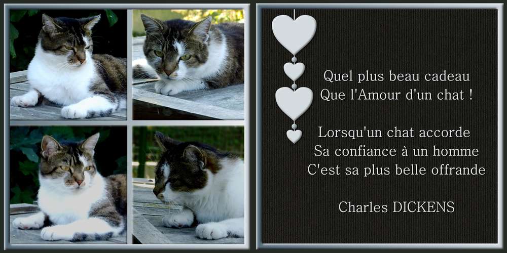 4-REALISATION - UN BONHEUR PARTAGE