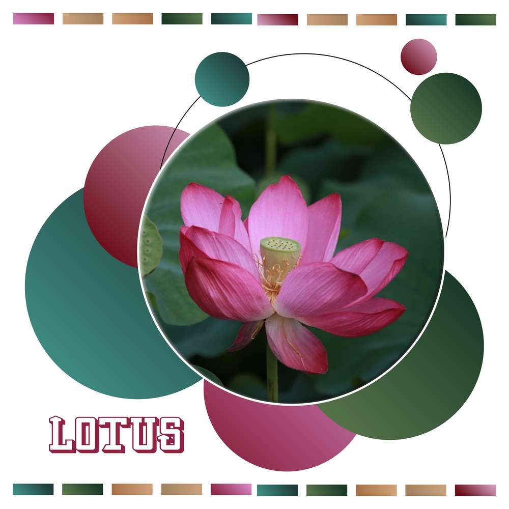 4-ZEN - LE SCRAPTOBER : CHALLENGE DU MOIS D'OCTOBRE