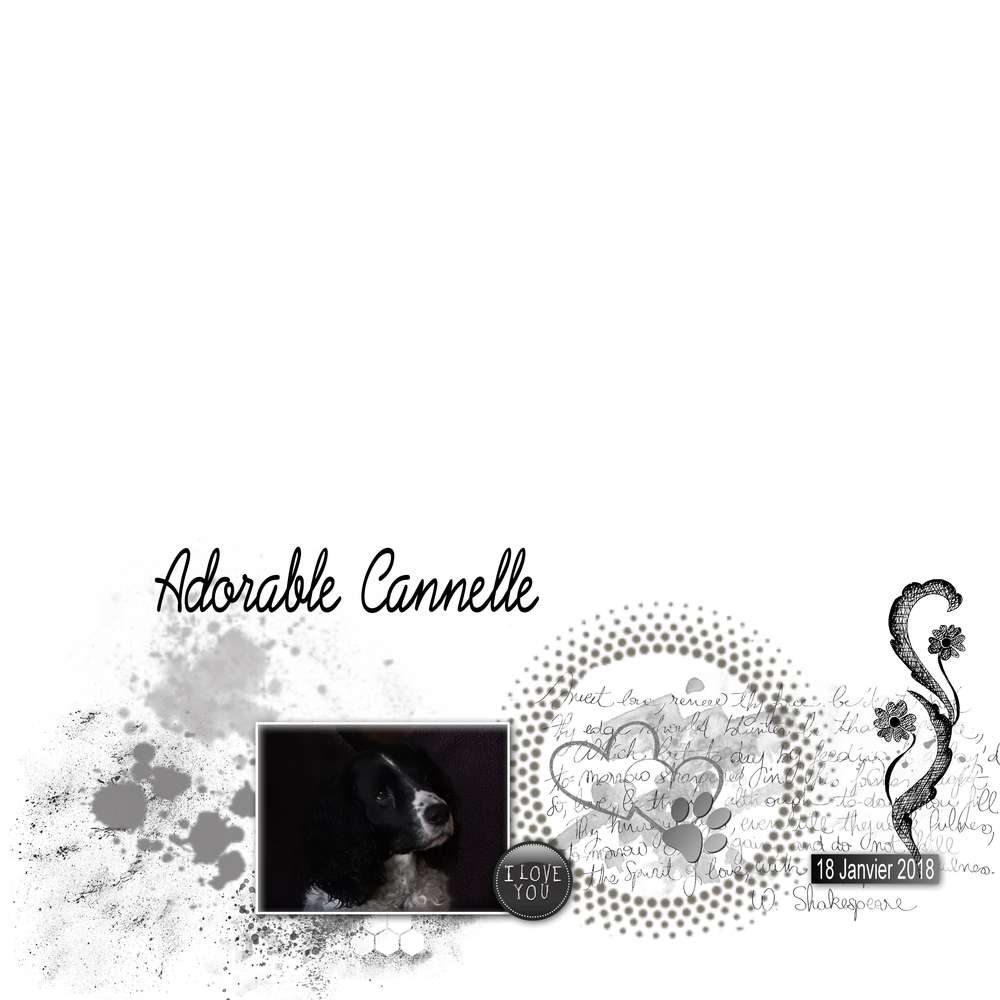 406-ADORABLE CANNELLE