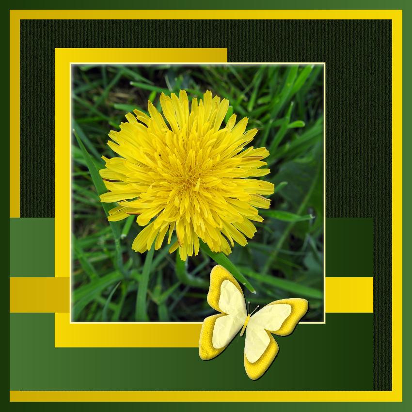 415-MERVEILLEUSE NATURE