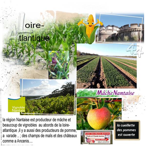 44 loire-atlantique défi