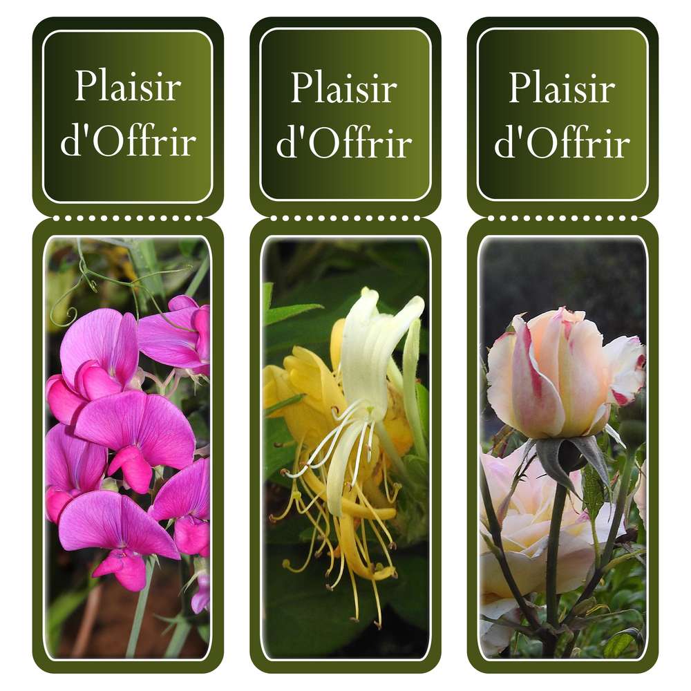 450-ETIQUETTES PLAISIR D'OFFRIR