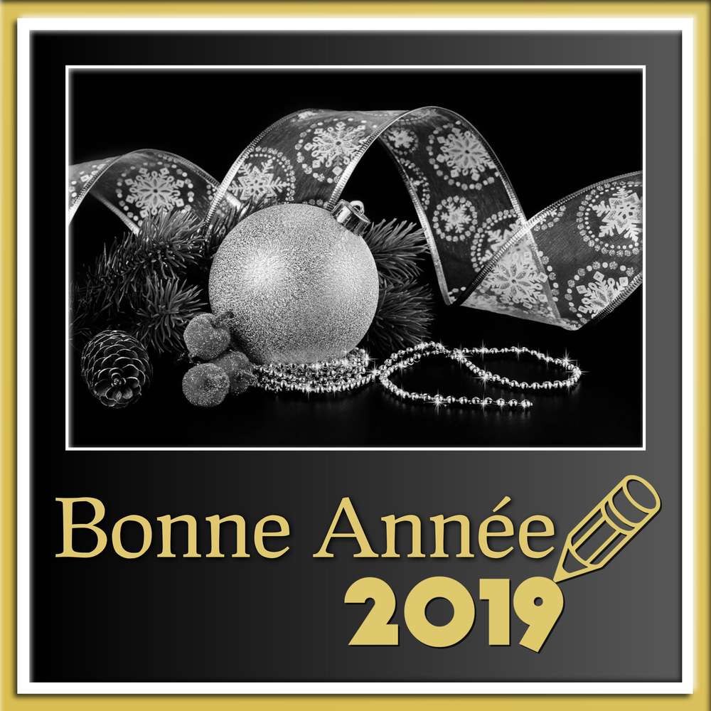 5-BONNE ANNEE 2019