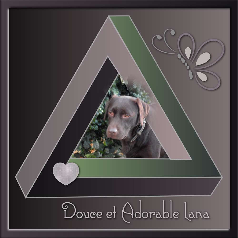 5-DOUCE ET ADORABLE LANA