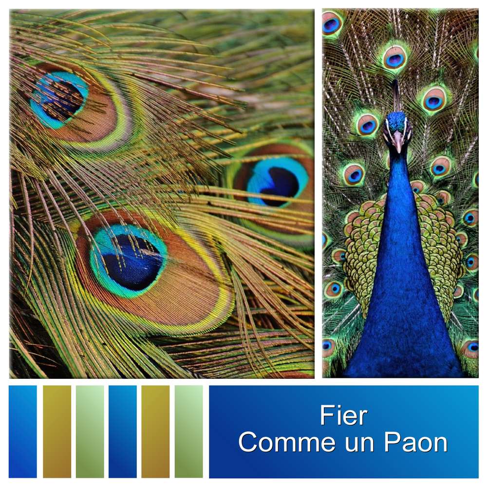 5-FIER - LE SCRAPTOBER : CHALLENGE DU MOIS D'OCTOBRE