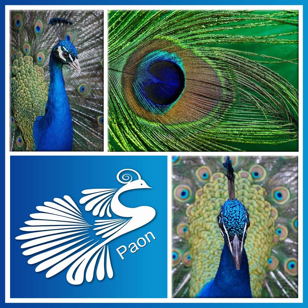 5-FIER - LE SCRAPTOBER : CHALLENGE DU MOIS D'OCTOBRE