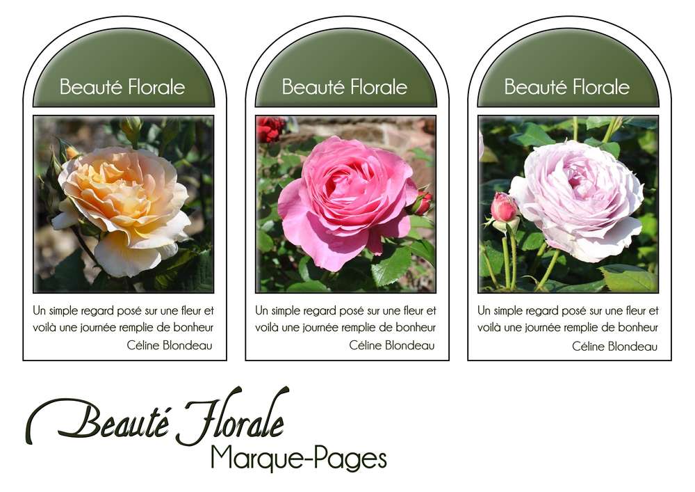 5-MARQUE-PAGES - BEAUTE FLORALE