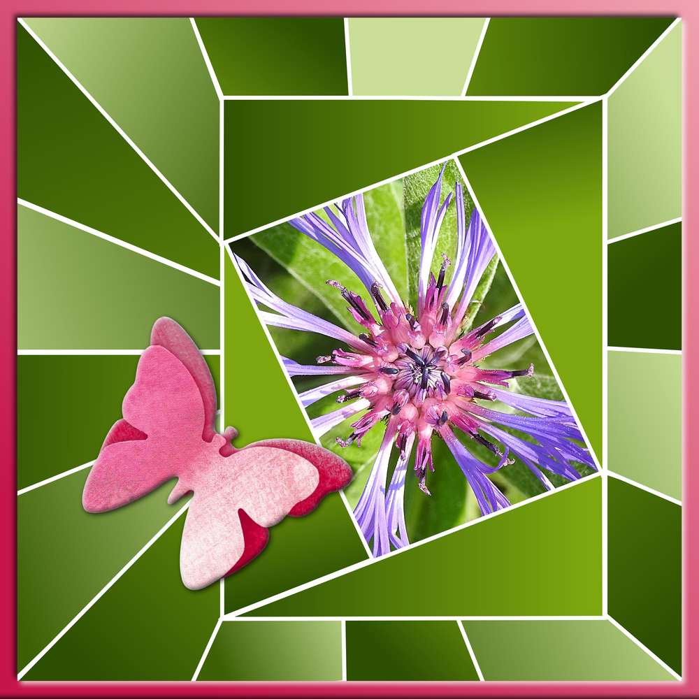 5-REALISATION - BEAUTE FLORALE