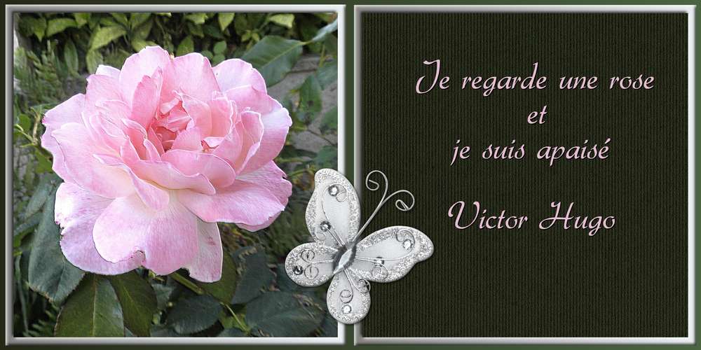 5-REALISATION - UN BONHEUR PARTAGE