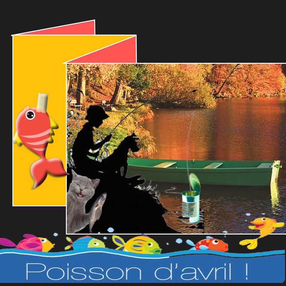 55916199_10219015783614991_2863989256462794752_o