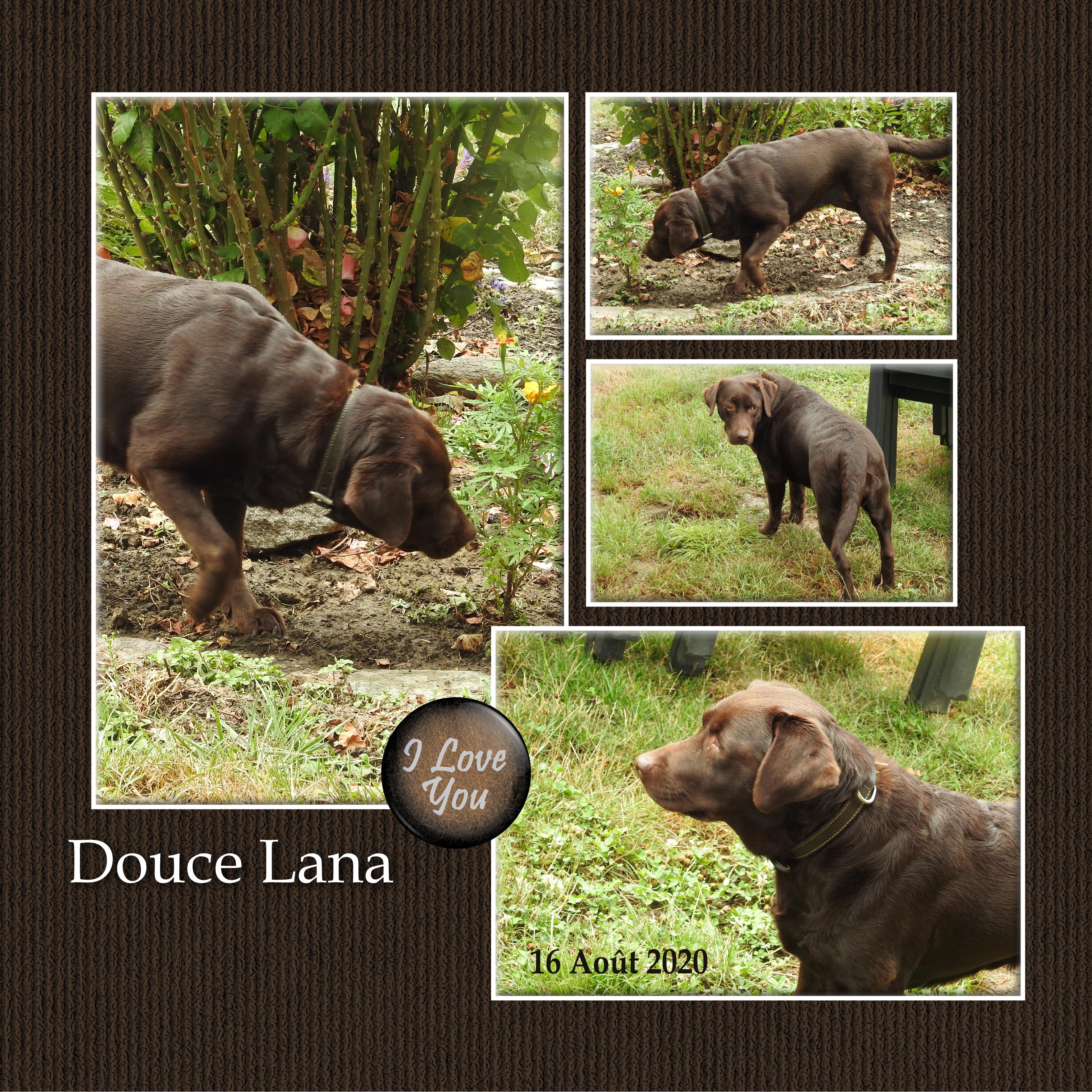 6-ANIMAUX DE COMPAGNIE - LE SCRAPTOBER : CHALLENGE DU MOIS D'OCTOBRE