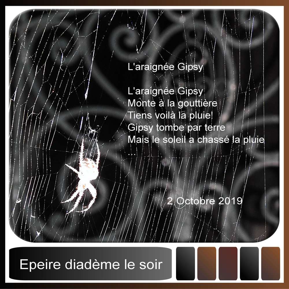 6-ARAIGNEE - LE SCRAPTOBER : CHALLENGE DU MOIS D'OCTOBRE