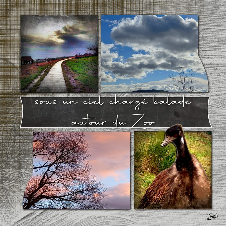 6 février autour du zoo sous ciel chargé.jpg
