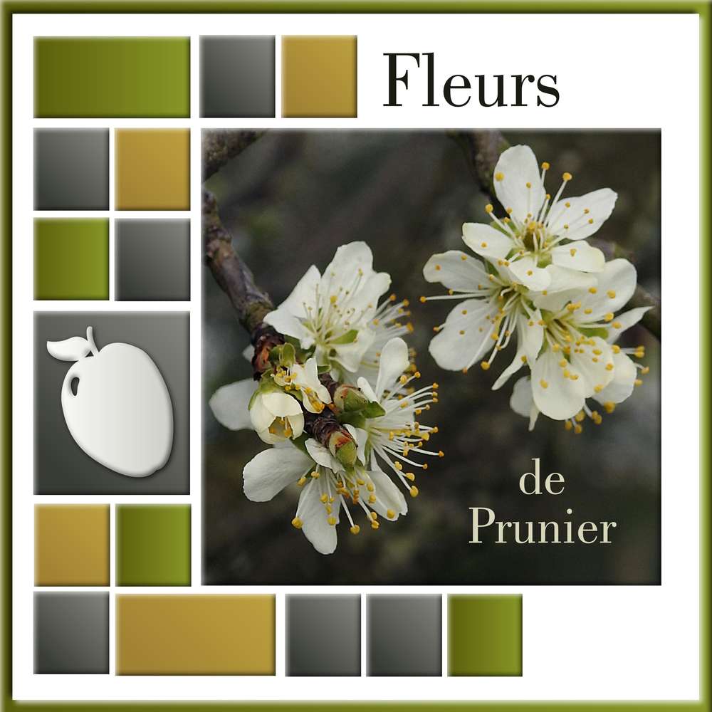 6-FLEUR(S) DE PRINTEMPS - SAMEDI 4 AVRIL 2020