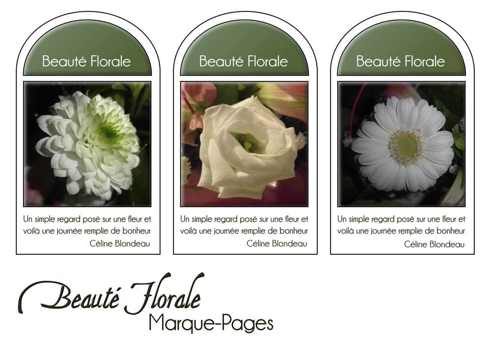 6-MARQUE-PAGES - BEAUTE FLORALE