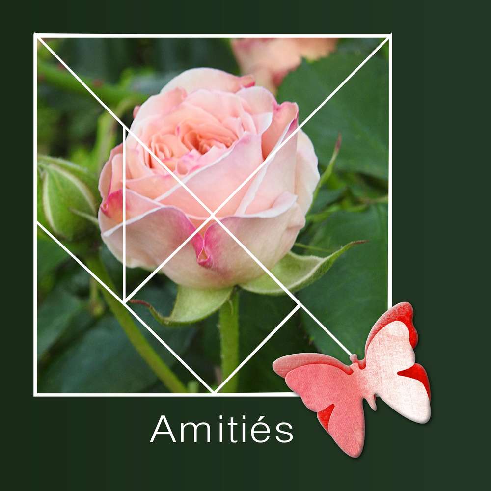 6-REALISATION - AMITIES