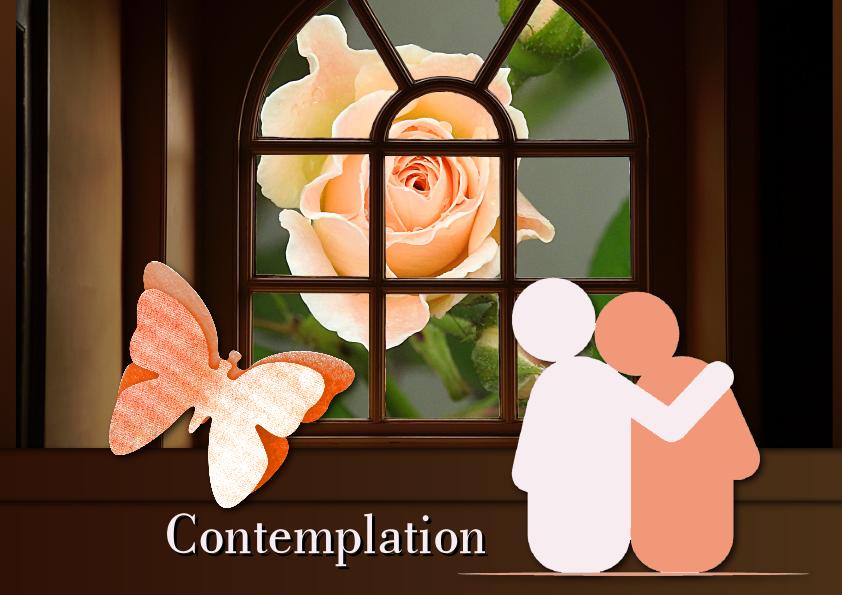 6-REALISATION - CONTEMPLATION