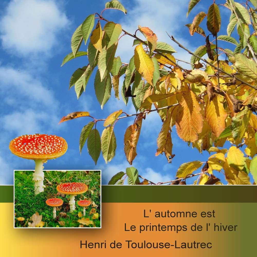 6-REALISATION - L'AUTOMNE