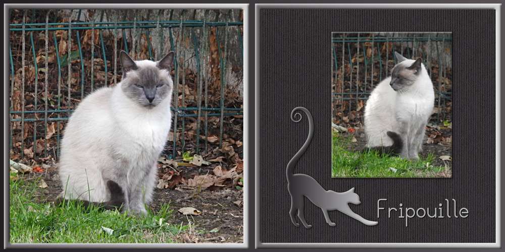 6-REALISATION - UN BONHEUR PARTAGE