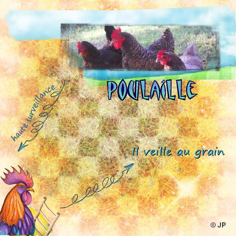 691 la poulaille