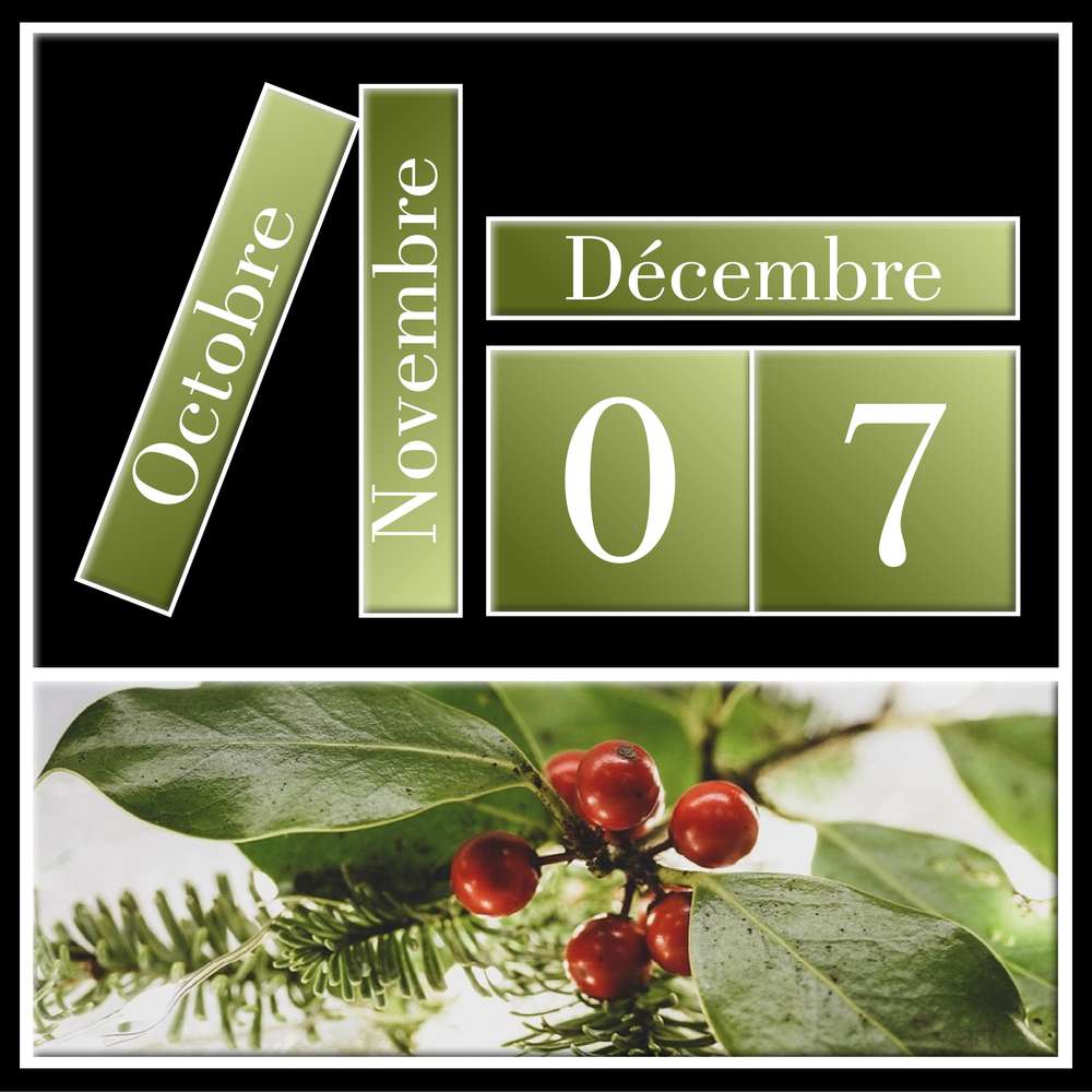 7-CALENDRIER DE L'AVENT - 7 DECEMBRE