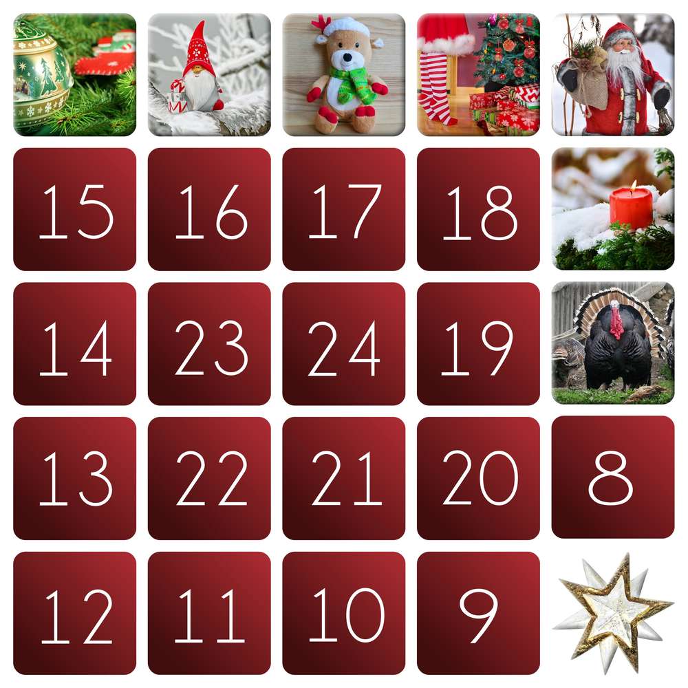 7-DINDE - LE CALENDRIER DE L'AVENT - (1)