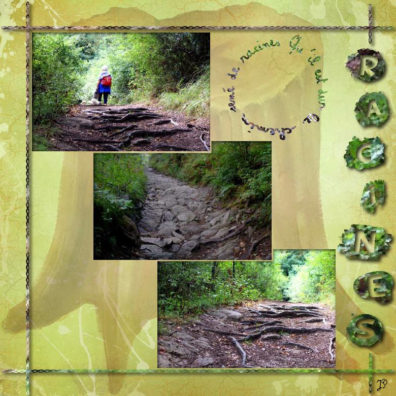 7 racines qu' il est dur le chemins aux racines