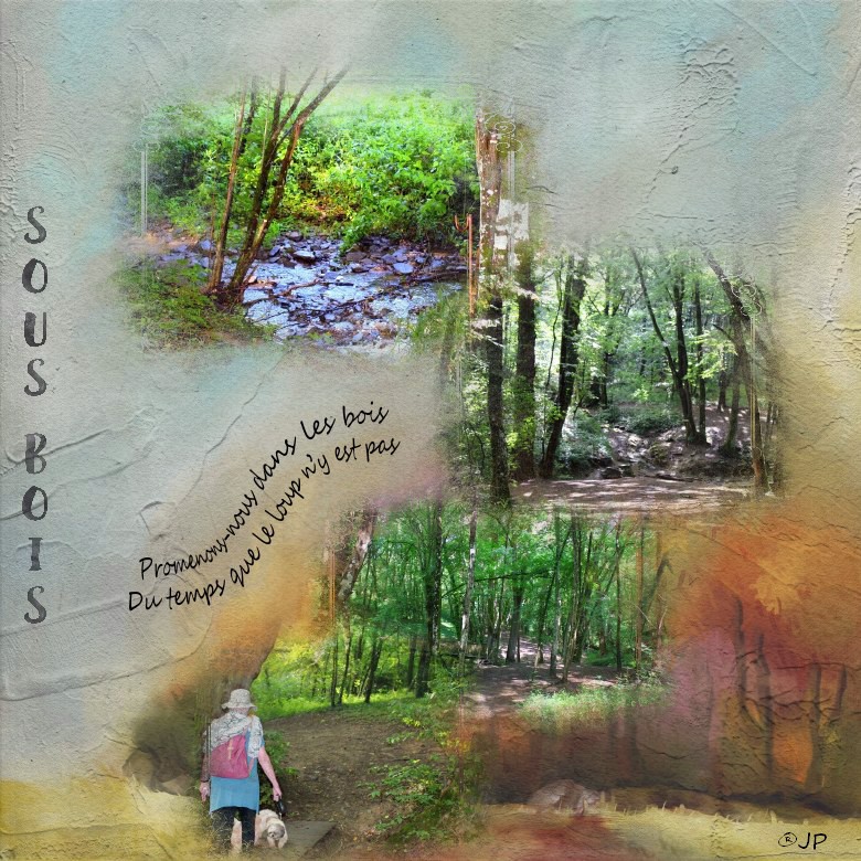 7 sous bois 2.jpg