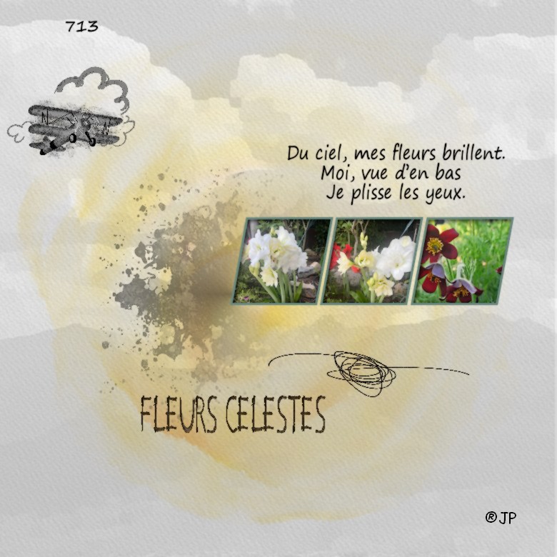 712 fleurs celestes.jpeg