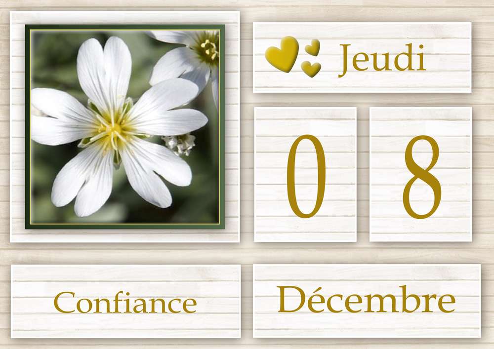 8-CALENDRIER DE L'AVENT - 8 DECEMBRE