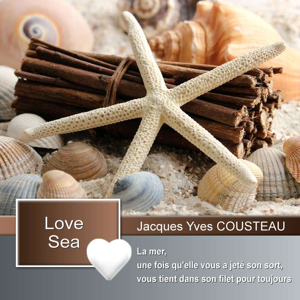 8-ETOILE - LE SCRAPTOBER : CHALLENGE DU MOIS D'OCTOBRE