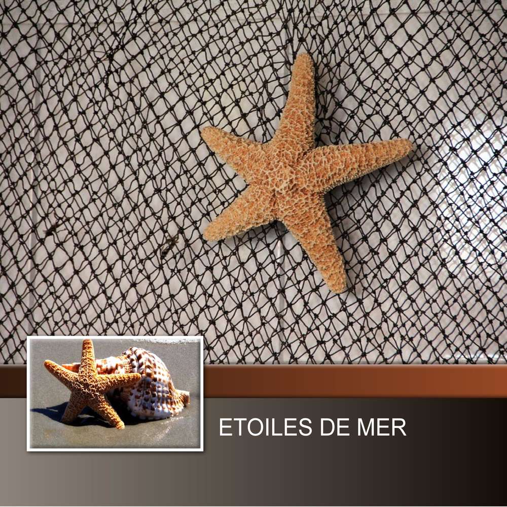 8-ETOILE - LE SCRAPTOBER : CHALLENGE DU MOIS D'OCTOBRE