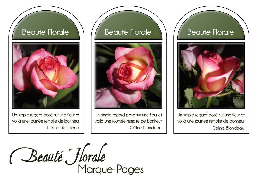 8-MARQUE-PAGES - BEAUTE FLORALE