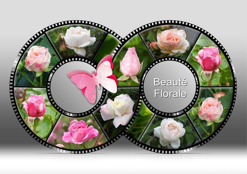 8-REALISATION - BEAUTE FLORALE