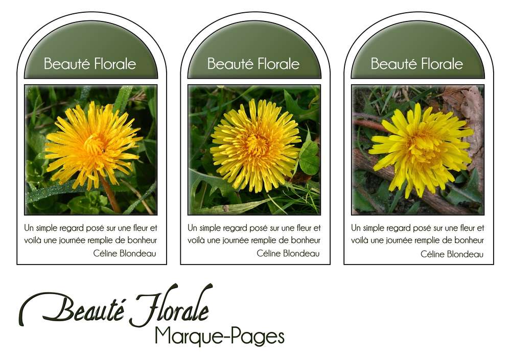 9-MARQUE-PAGES - BEAUTE FLORALE