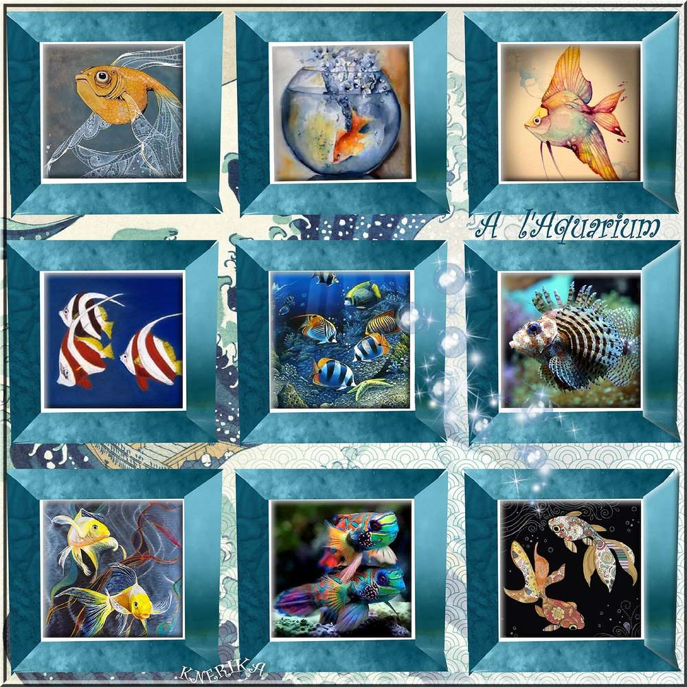 _l_aquarium__30_03_2020_copie_OK