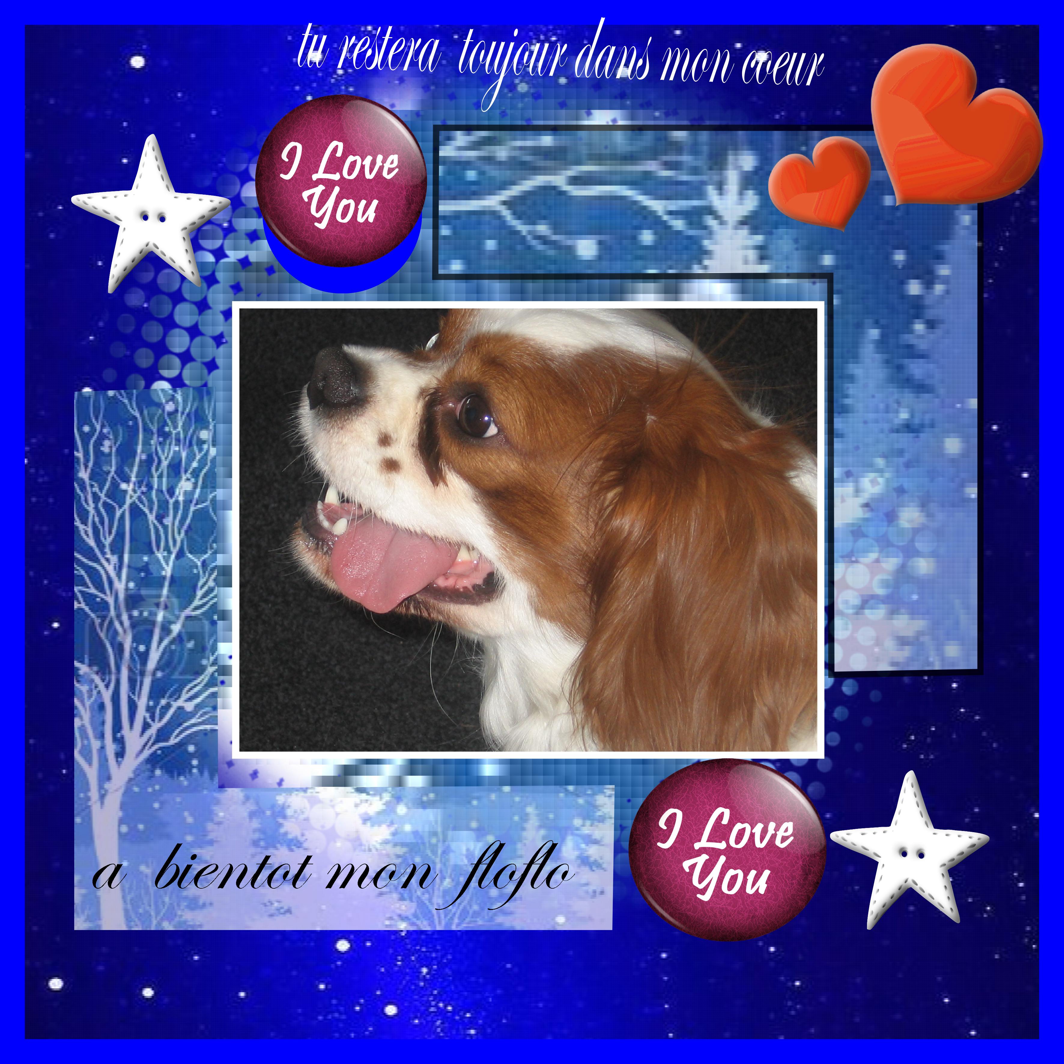 a  bientot  mon  FLOYD.jpg