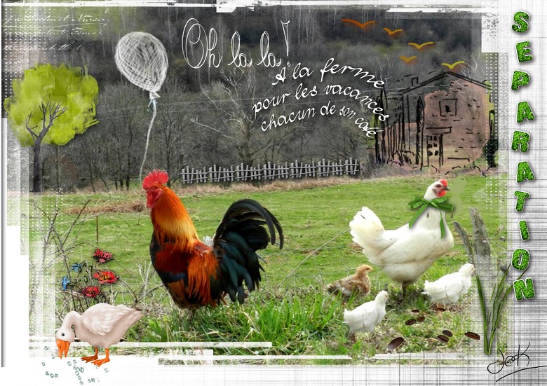 à la ferme pour les vacances.jpg