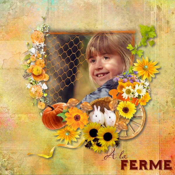 A la ferme