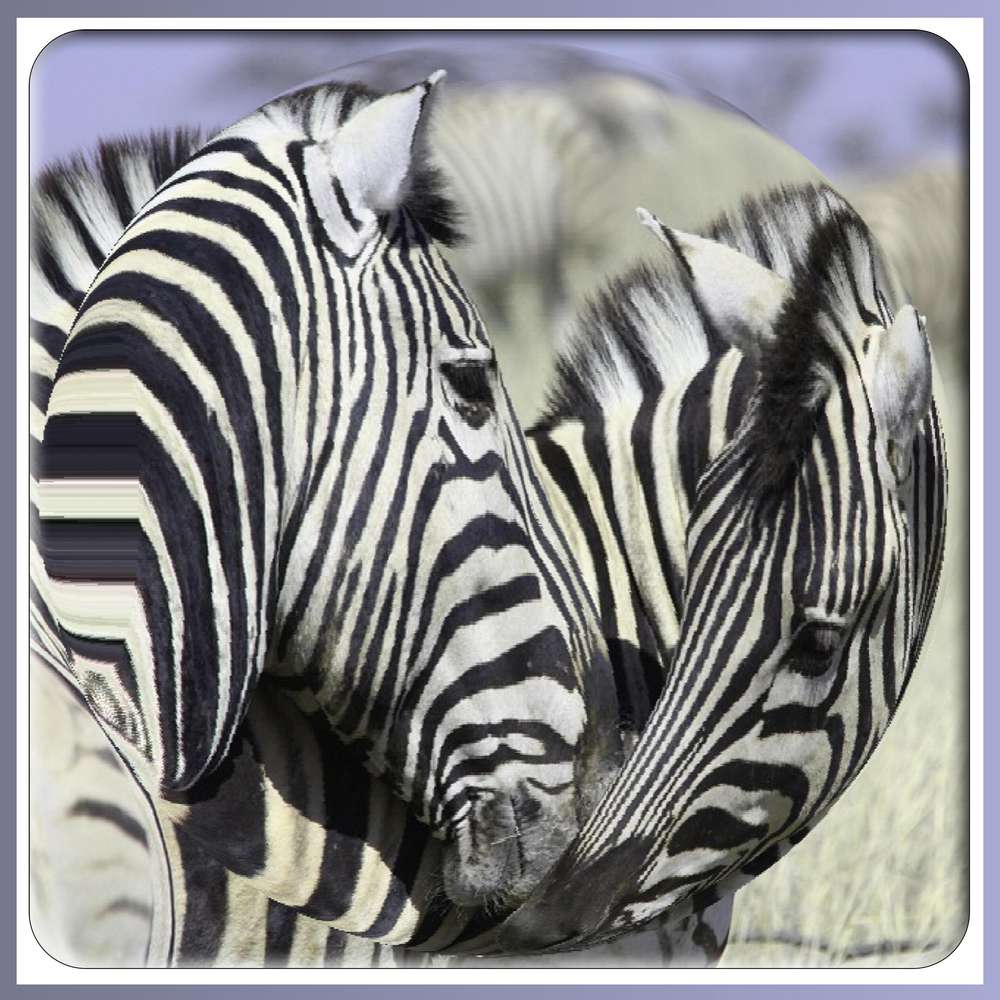 A LA MANIERE DE VASARELY