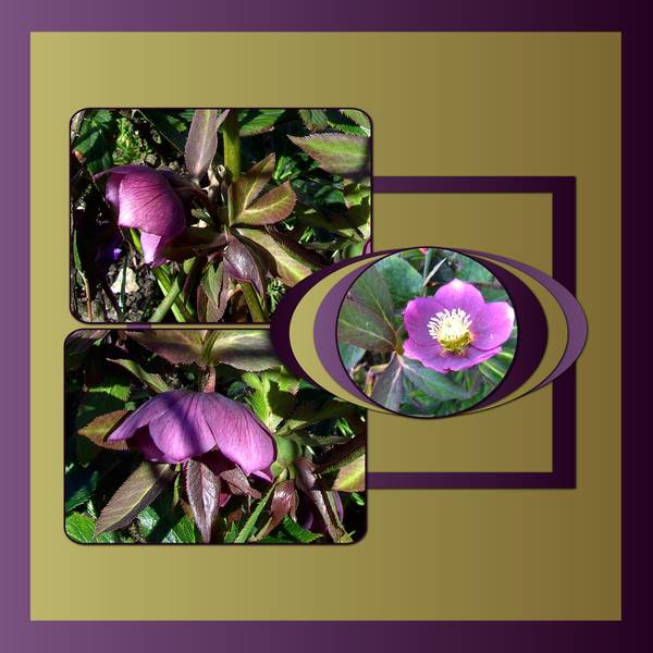 A la SORTIE de L'HIVER - 1er MARS 2014