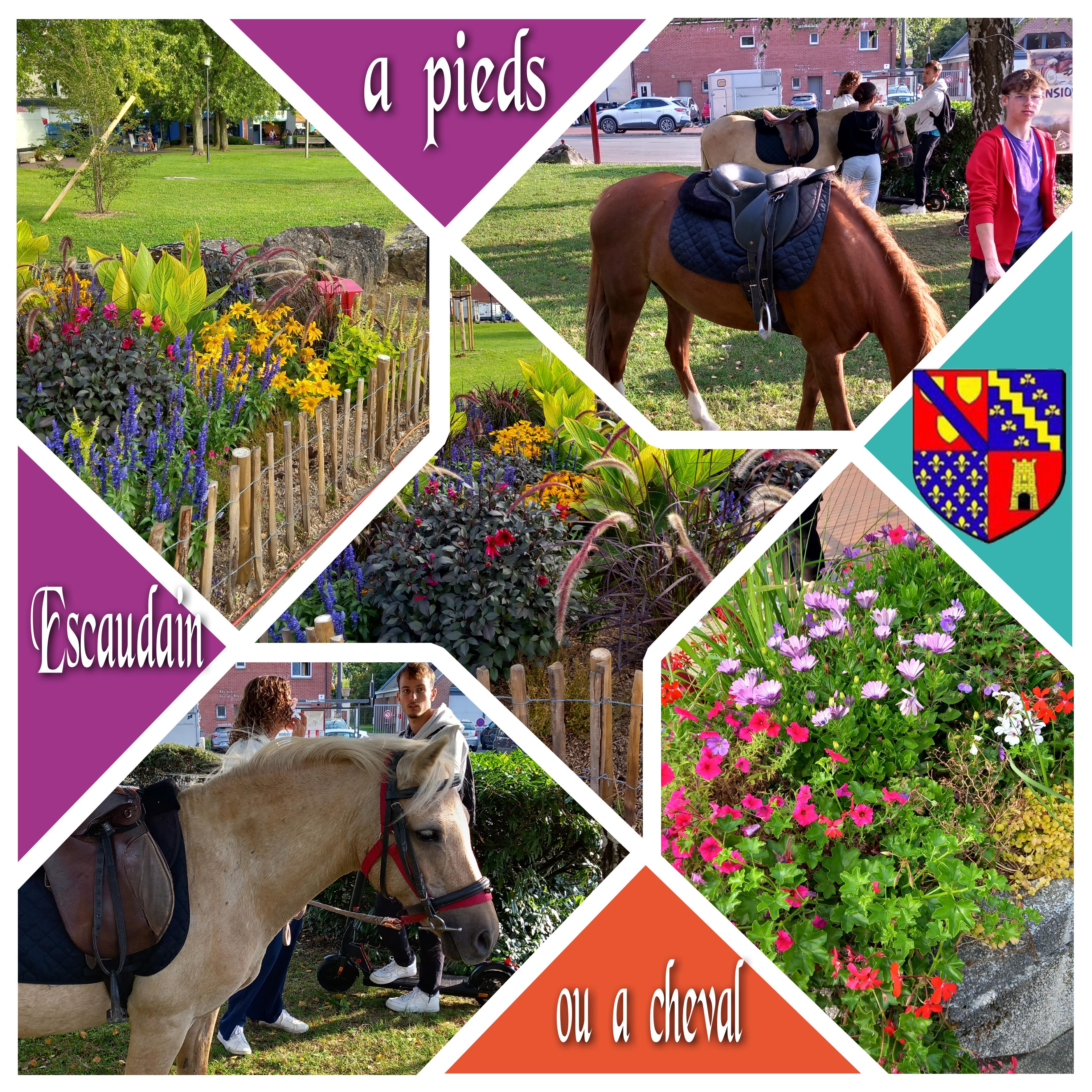 a pieds  ou  a  cheval.jpg