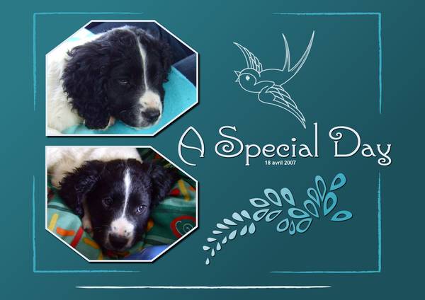 A SPECIAL DAY - 18 AVRIL 2007
