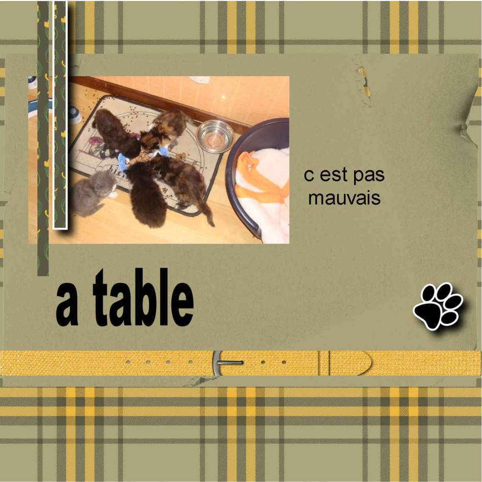 a table