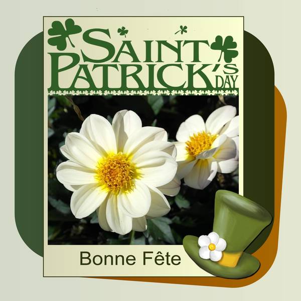 A TOUS LES PATRICK - PATRICE - PATRICIA - BONNE FETE