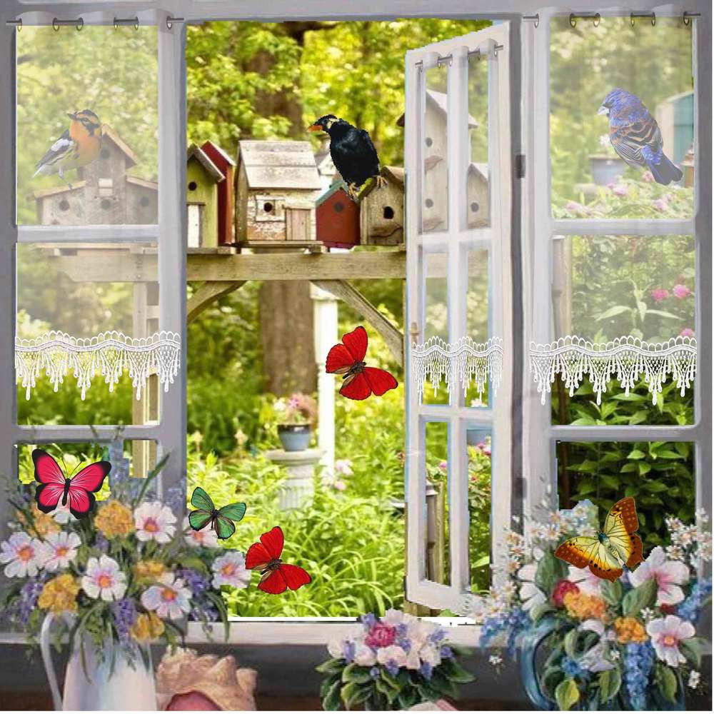 A travers le fenêtre