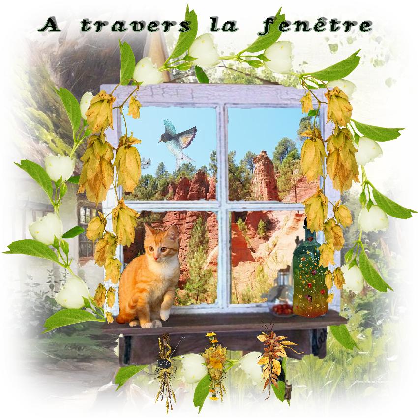 a travers le fenêtre